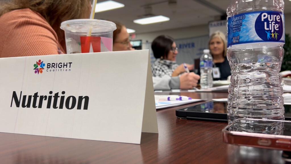 Bright Coalition Vo00 00 49 57still001