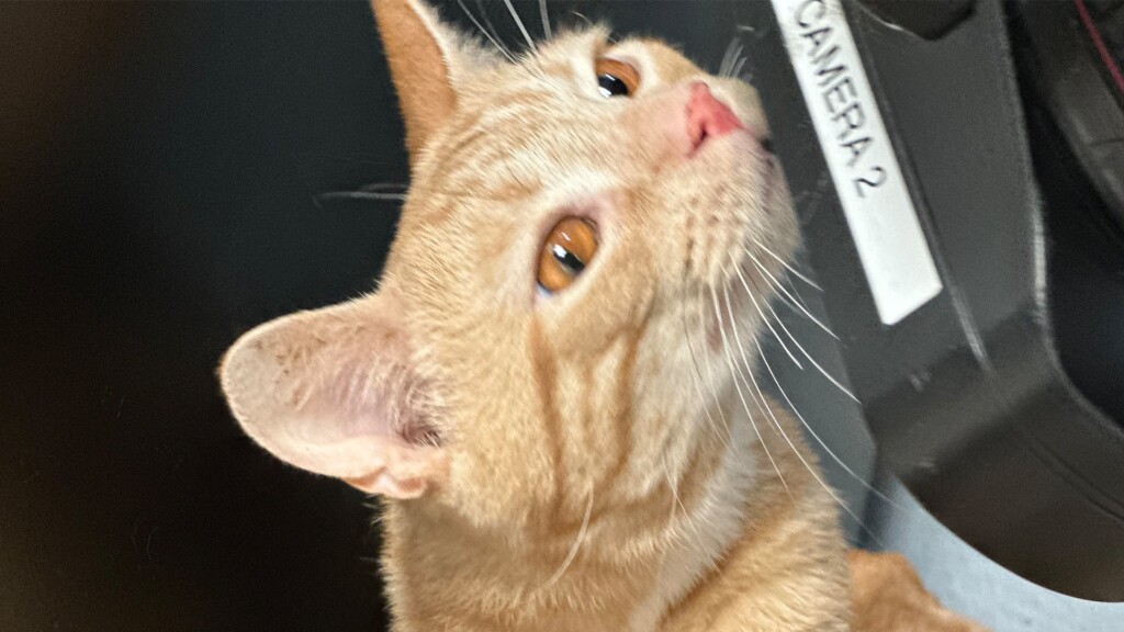 Pet Of The Day, Montly, 011824