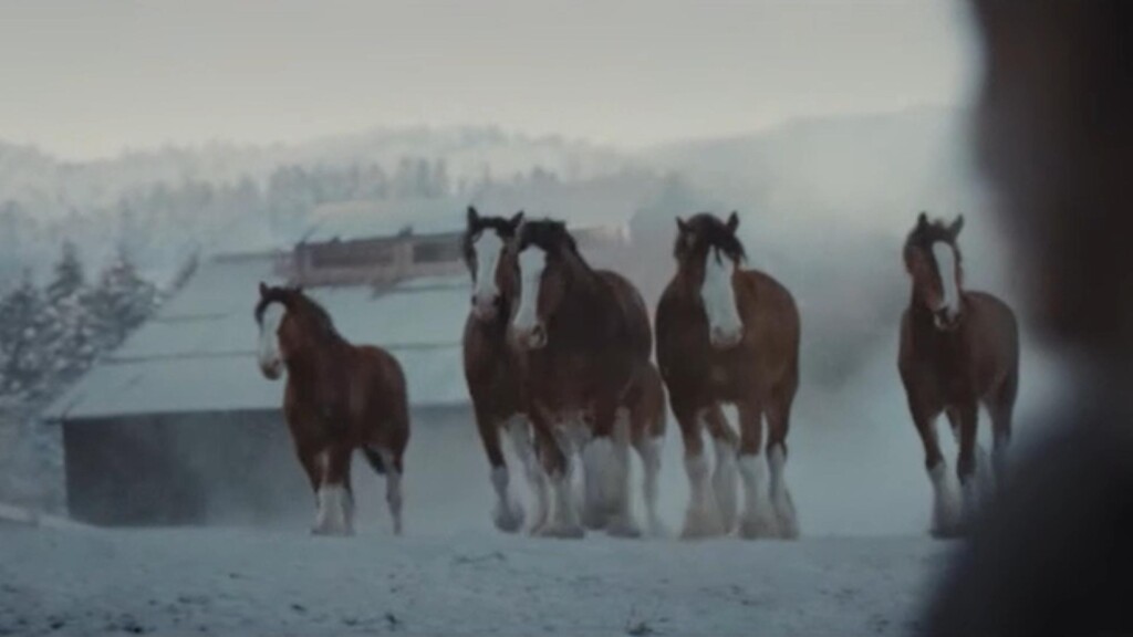 Photo Resize 2024 01 31t115535059