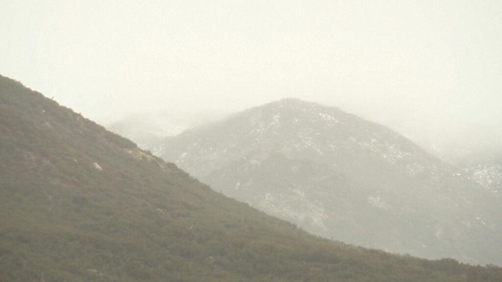 Photo Resize 2024 02 08t110827508