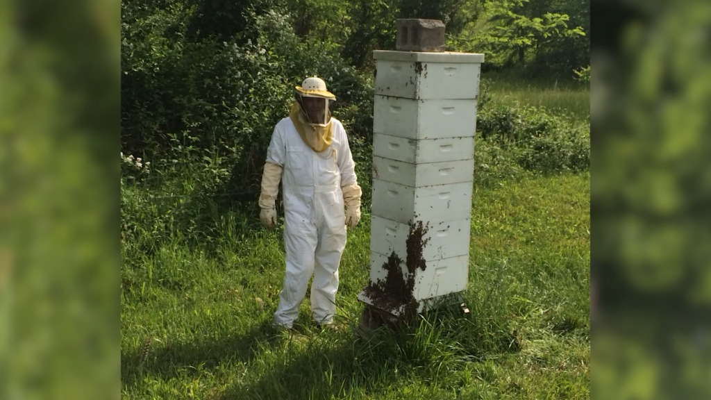 Busy Bee Season Pkg 100 01 16 25still001