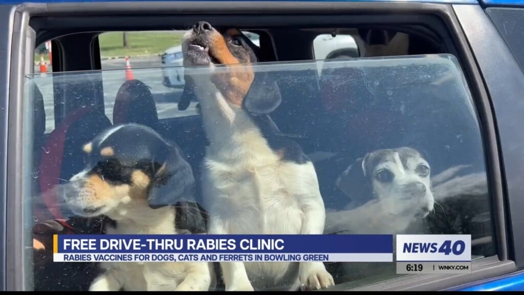 Free Rabies Vaccine Clinic Pkg 03132024 Selected Tracks
