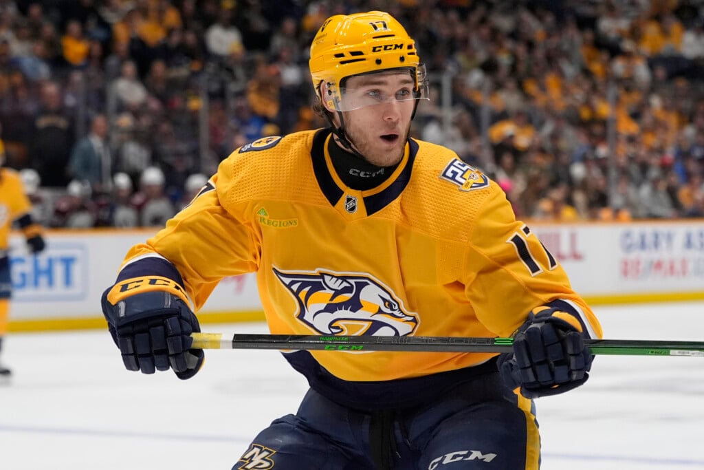 Avalanche Predators Hockey