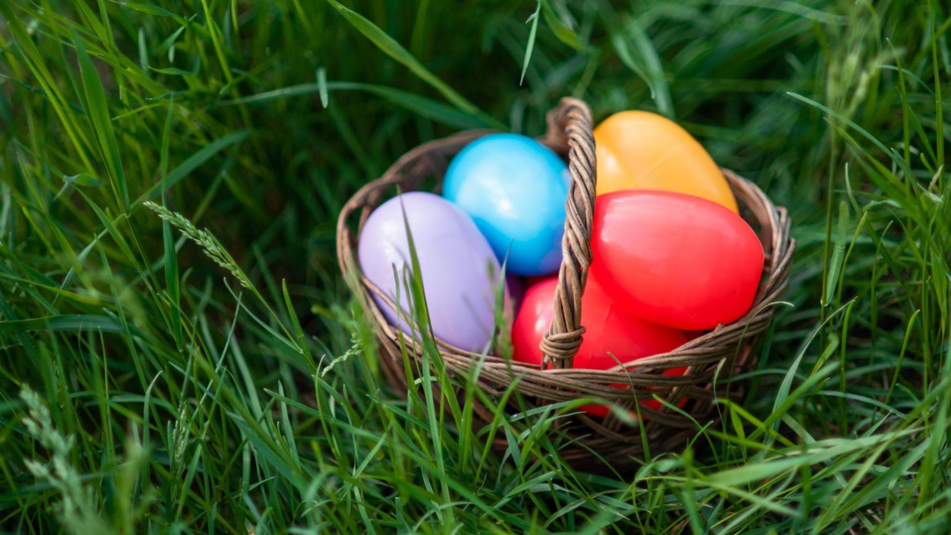 It's almost Easter: here's your guide to local egg hunts - WNKY News 40 ...