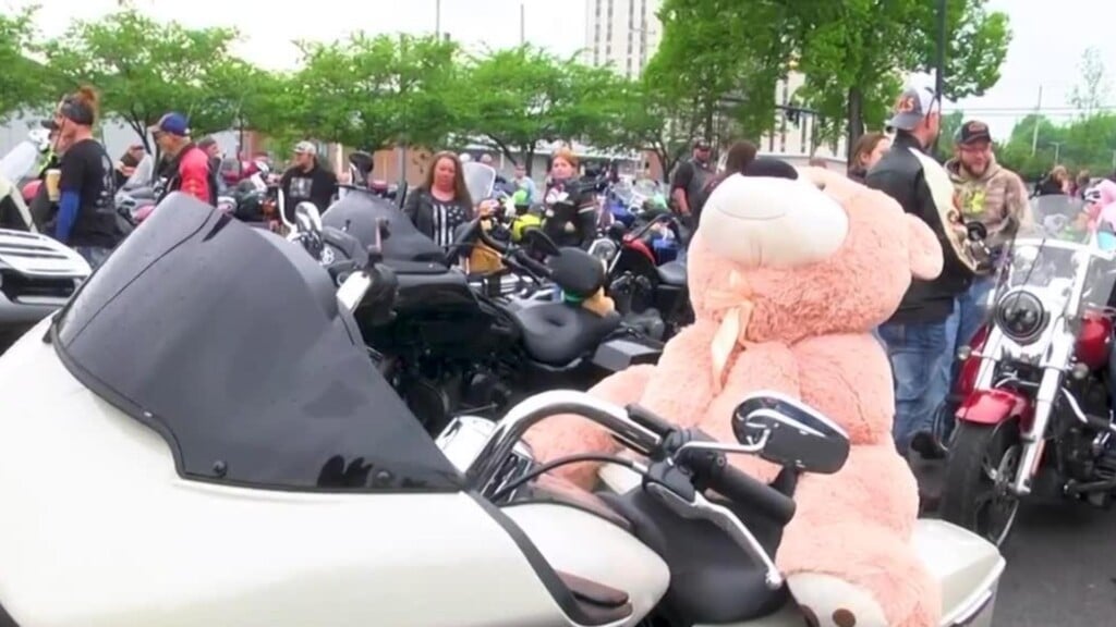 teddy bear run