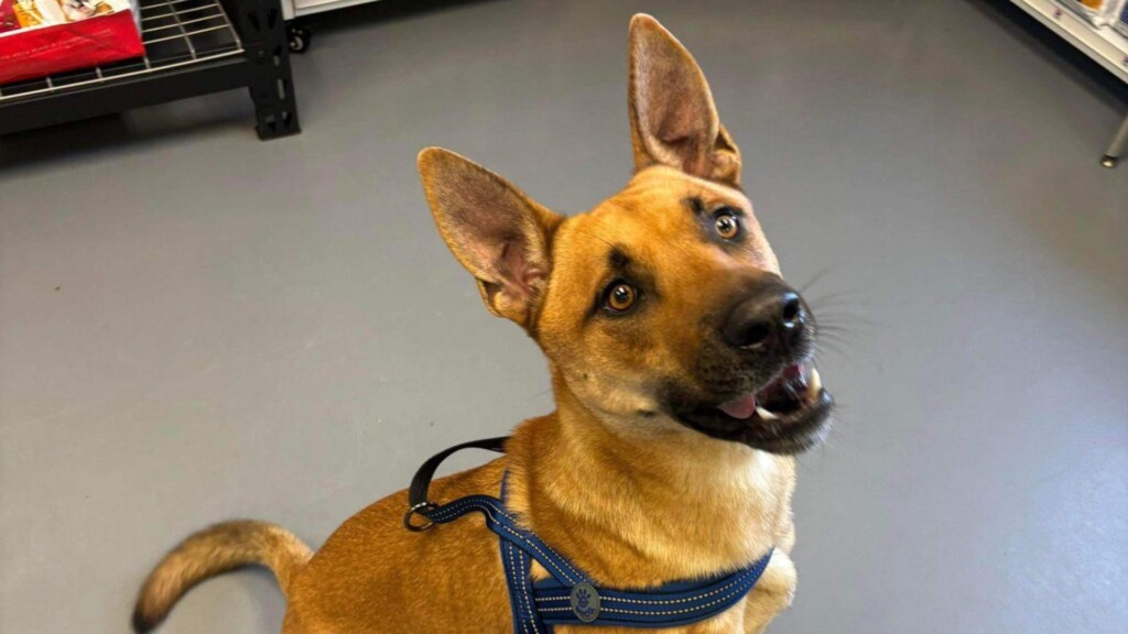 Photo Resize 2024 04 30t102059691