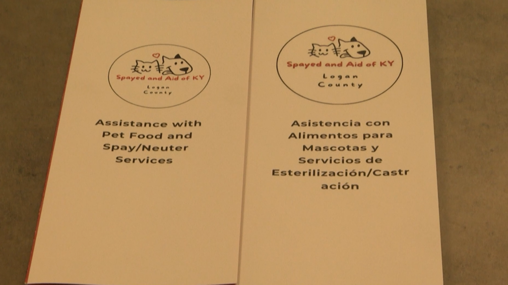 Spayed And Aid Spanish Brochure Pkg00 00 07 12still001