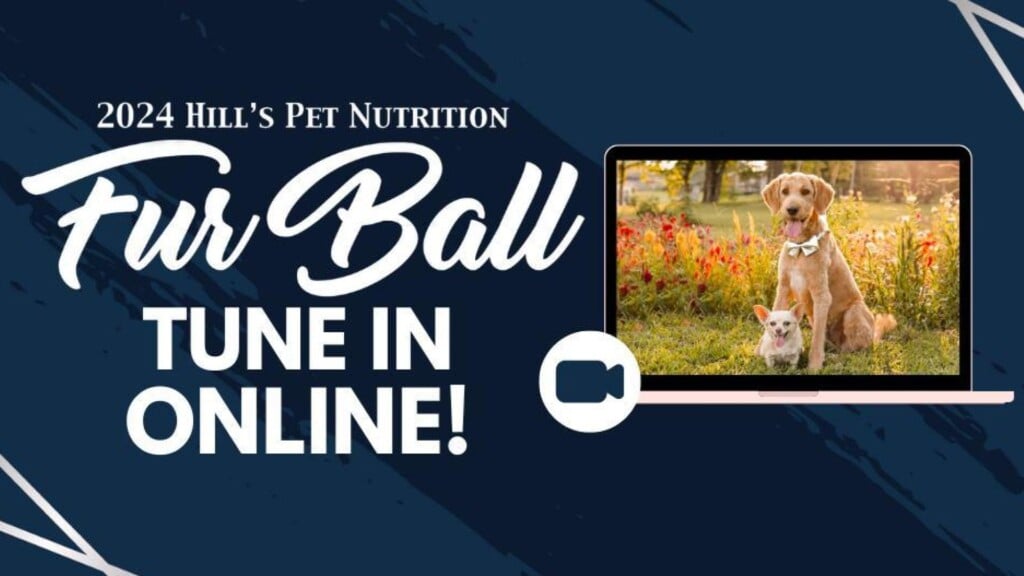 Photo Resize 2024 04 23t134642872