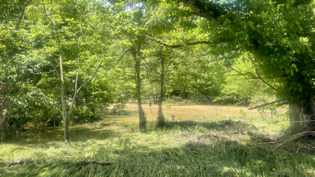 Allen County Fatality Location