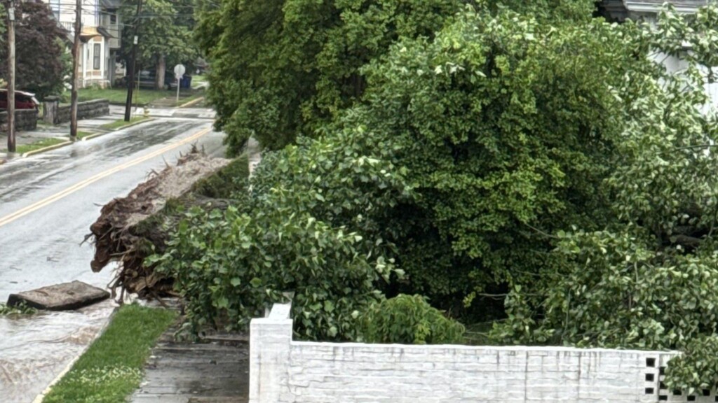 Photo Resize 2024 05 27t171720129