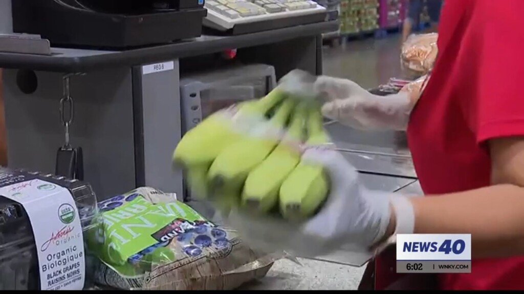 Disaster Snap Benefits Replaces Food Lost In Power Outages