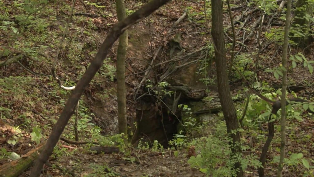 Photo Resize 2024 05 06t170630599