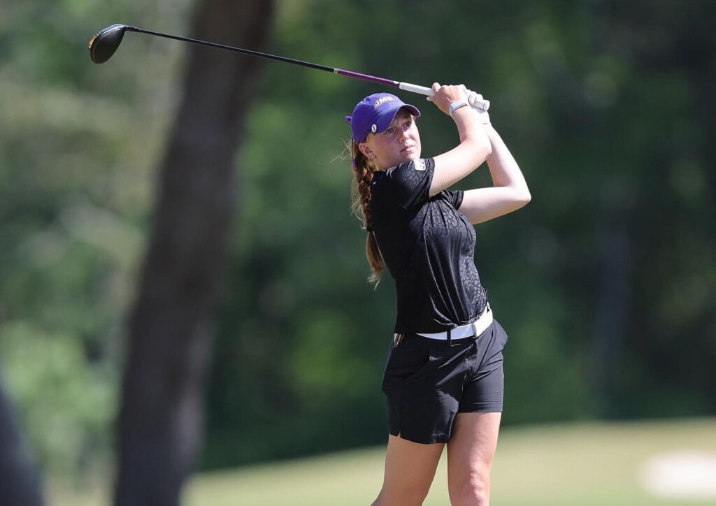 Original D68ca79c 5b6a 4cc5 84de 9e815409f31b