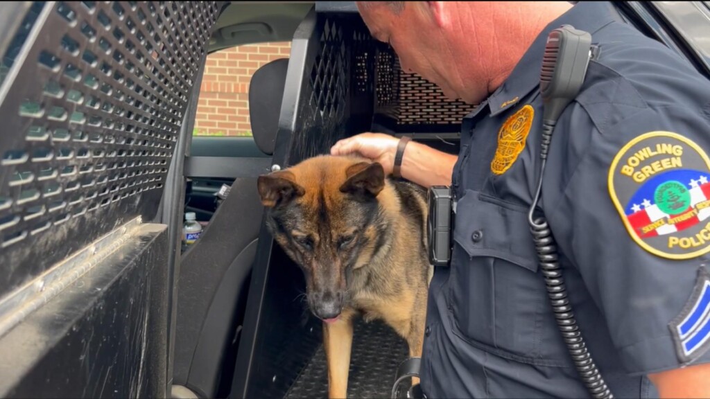 bgpd k9