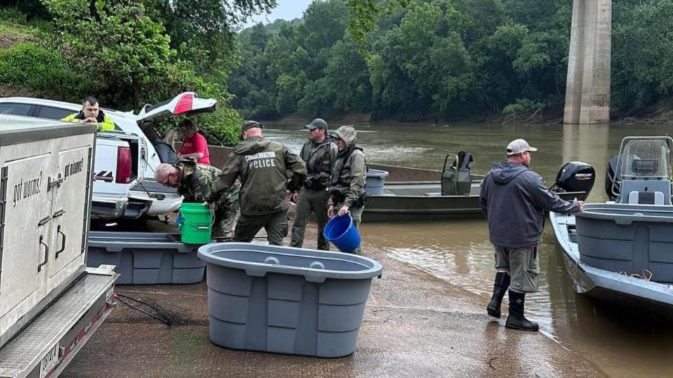 Untitled Presentation 78