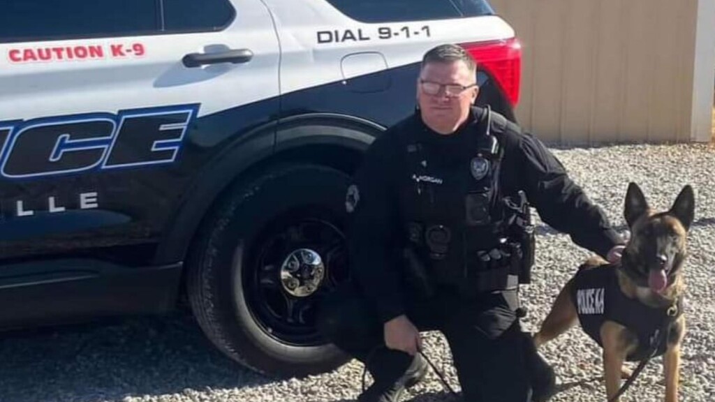 Photo Resize 2024 06 18t153751747