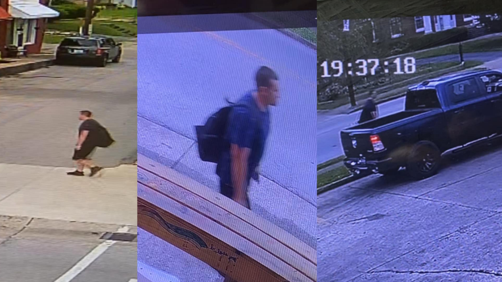 Auburn Motor Vehicle Theft