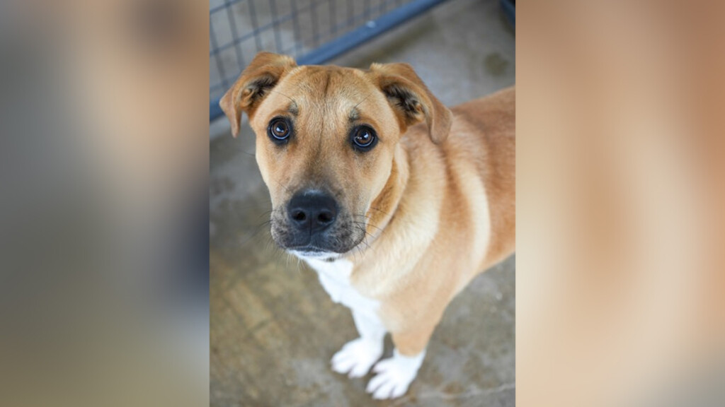 Afternoon Potd: Buddy Jr.