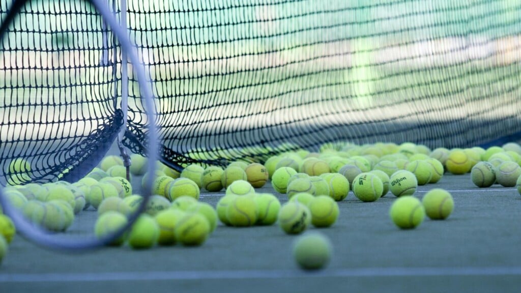 tenis