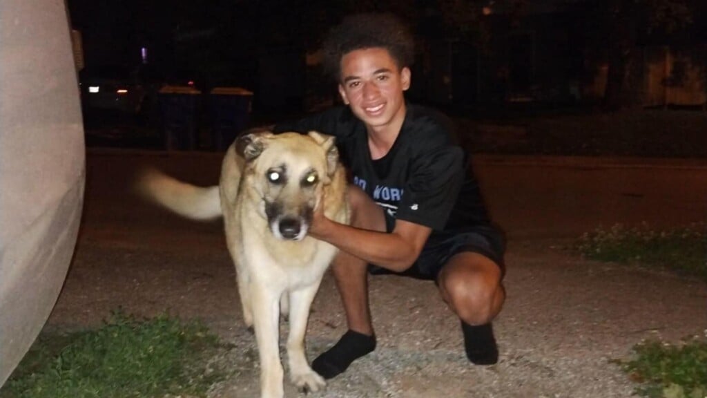 Photo Resize 2024 06 29t195704228