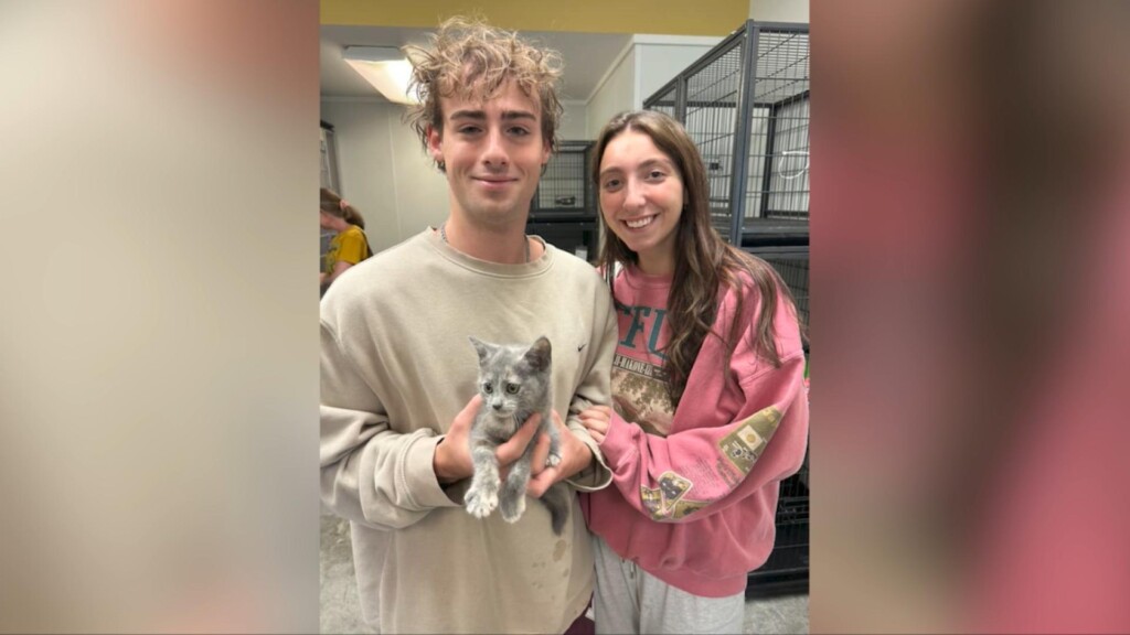 Photo Resize 2024 06 25t153751071