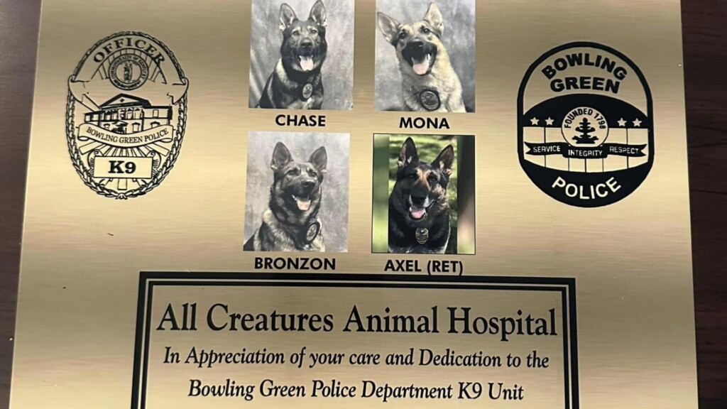 Photo Resize 2024 06 13t153816405