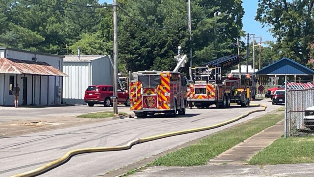 Photo Resize 2024 07 02t105144741