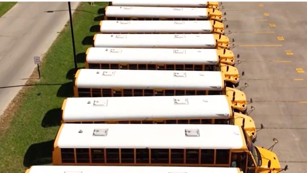 buses