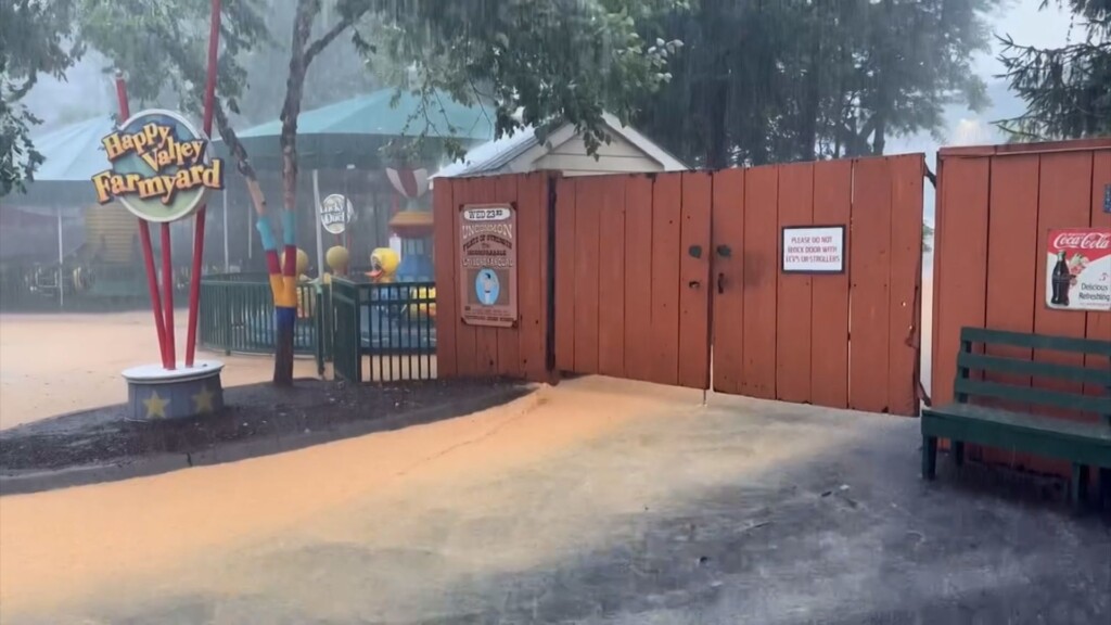 Dollywood Flood Thumb