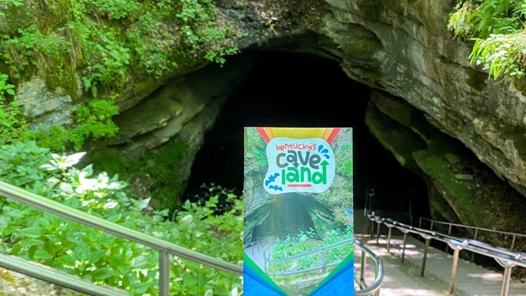 Photo Resize 2024 07 25t115937954