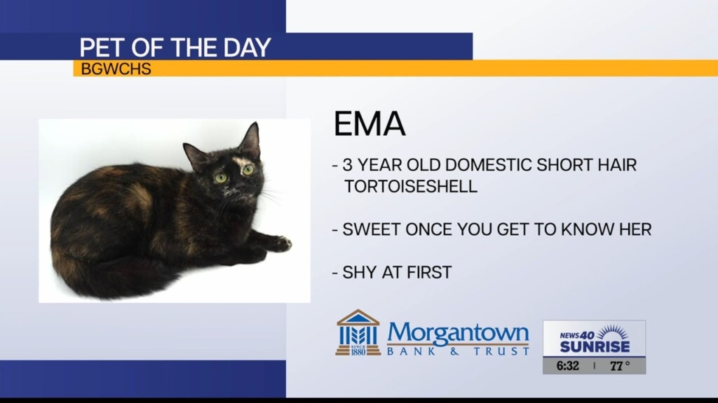 Pet Of The Day 7 4 24