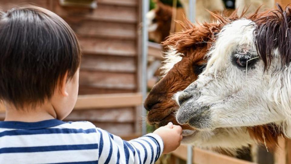 Untitled Presentation 94