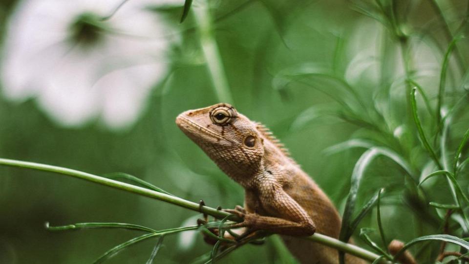 Untitled Presentation 81