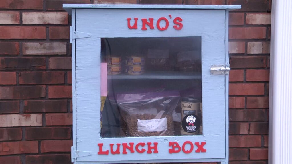 Unos Lunch Box Vo00 00 00 00still001