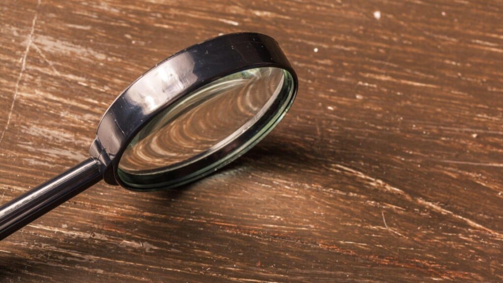 Photo Resize 2024 08 14t122006999