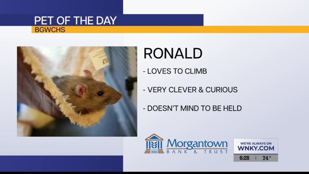 Pet Of The Day 8.30
