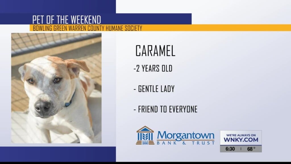 Pet Of The Day 8.19