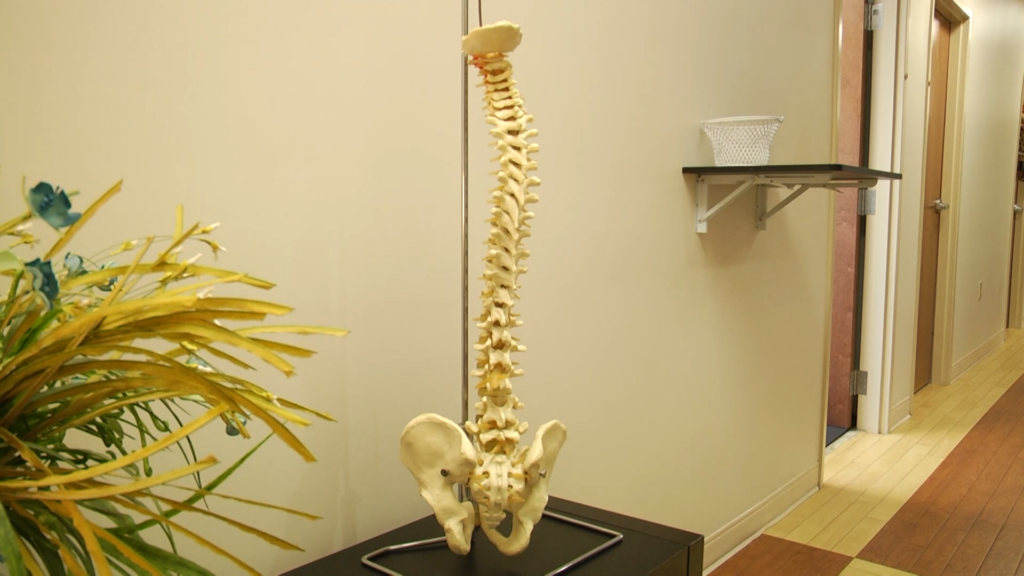 Chiropractor Vo00 00 44 44still001