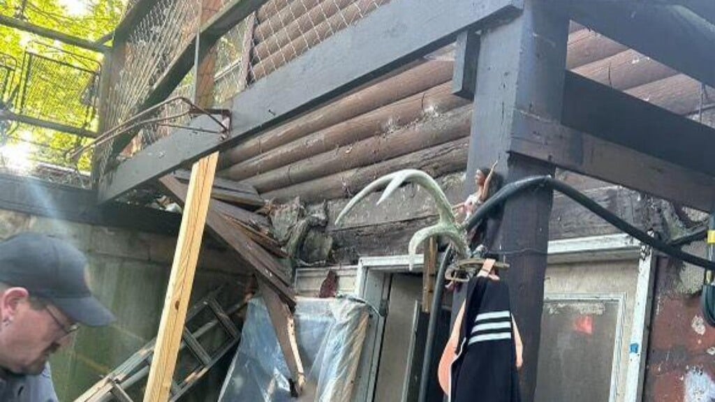 Photo Resize 2024 08 27t113250572