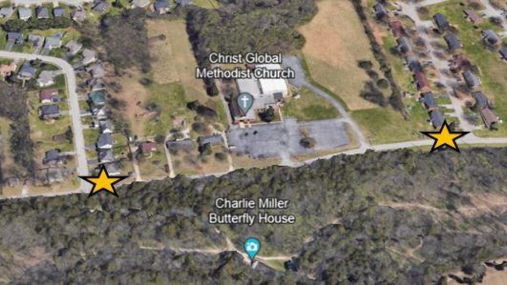 Photo Resize 2024 08 15t161007278