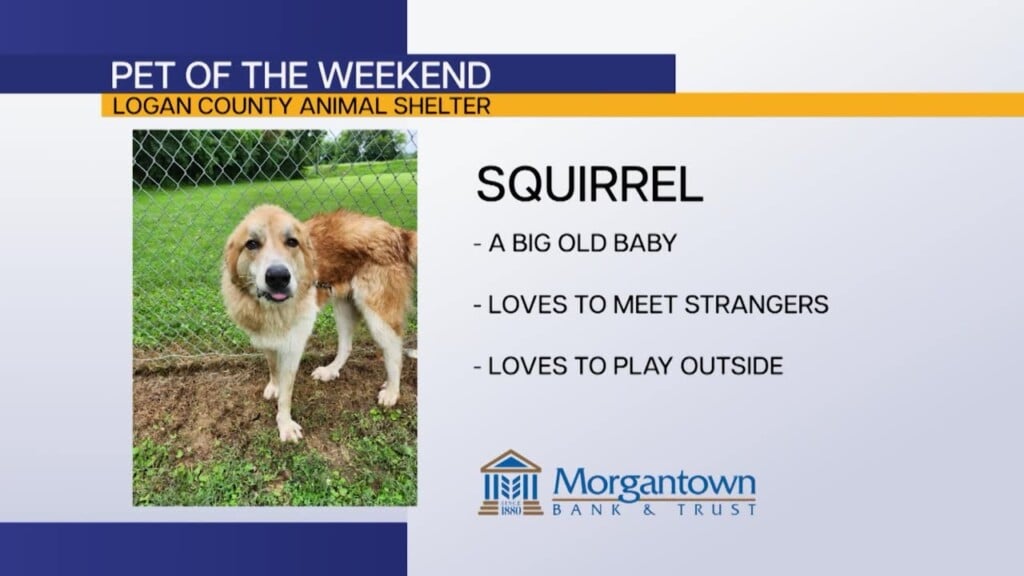 Pet Of The Weekend: Squirrel
