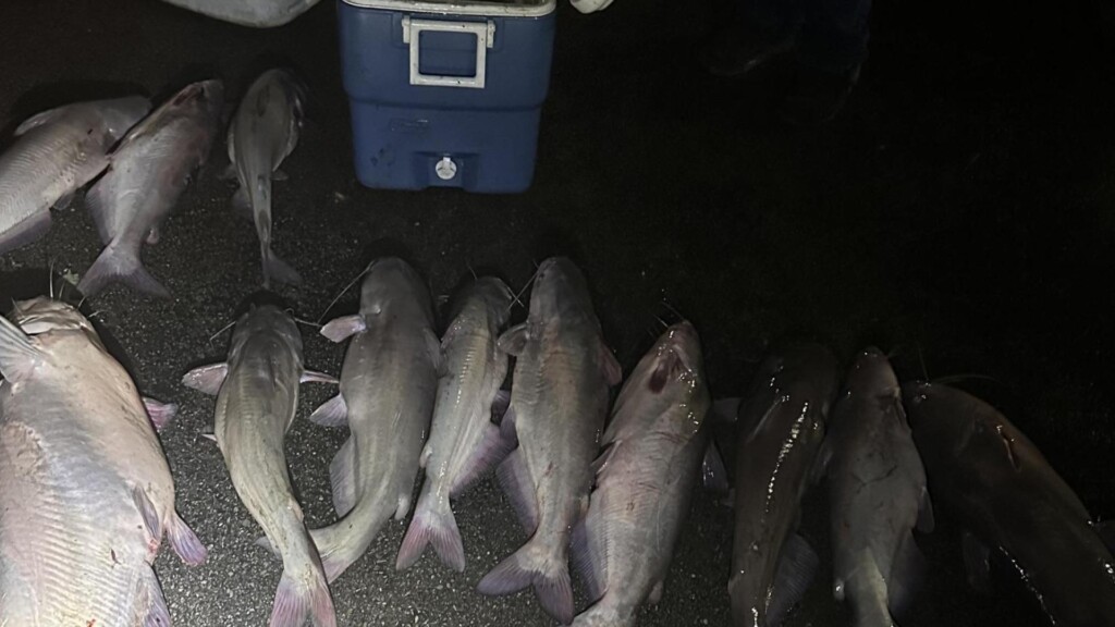 Photo Resize 2024 09 10t144917501