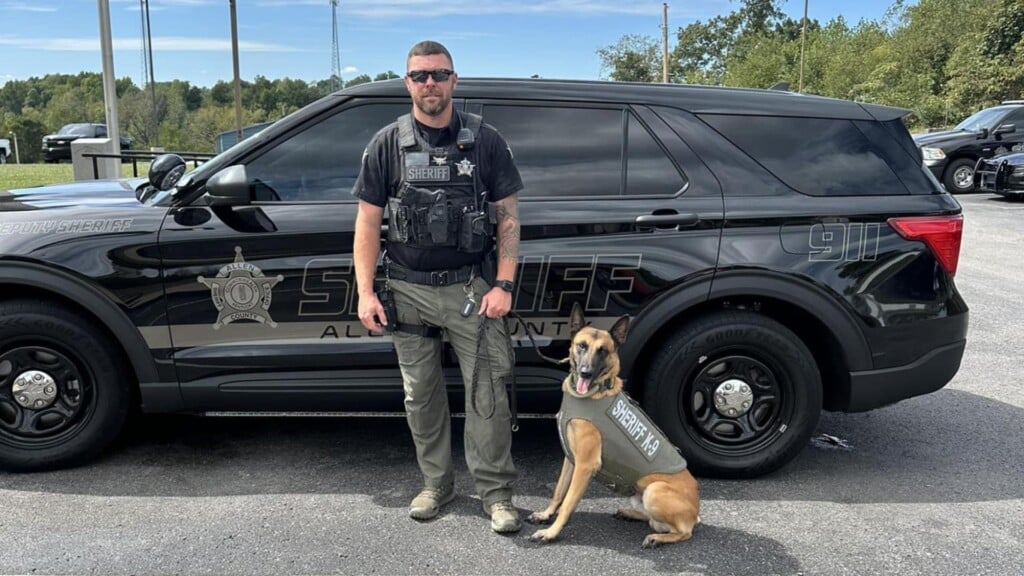 Photo Resize 2024 09 17t145632766