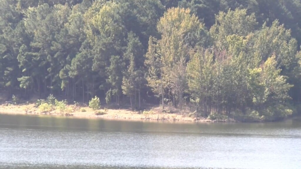 Photo Resize 2024 09 05t193020904