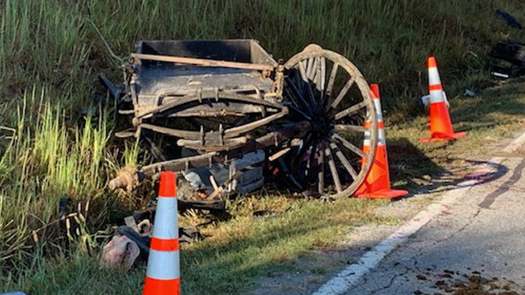 Caneyville Buggy Crash