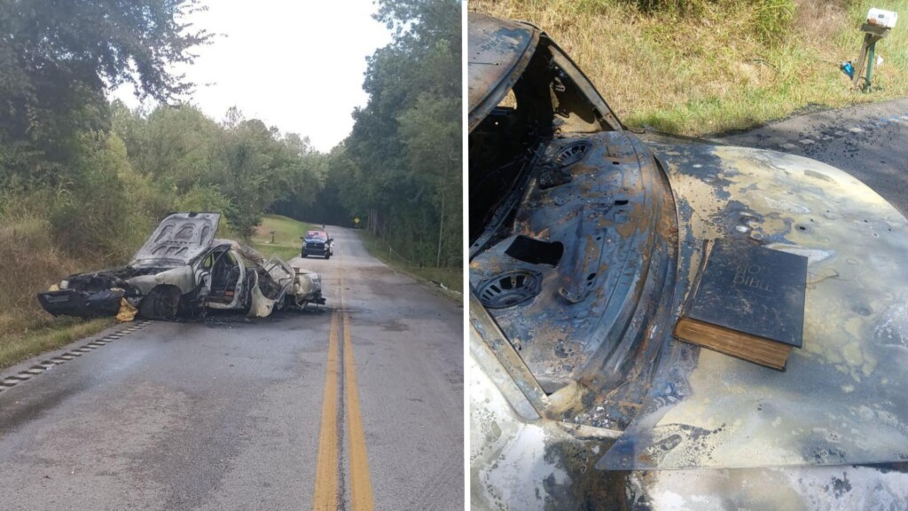 Photo Resize 2024 09 02t111803541