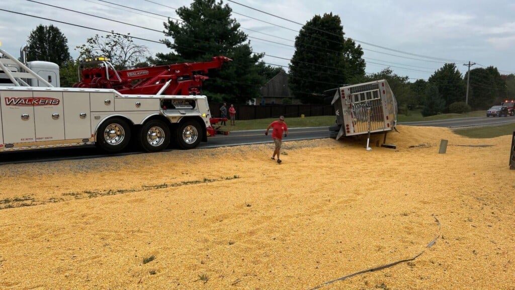 Photo Resize 2024 09 12t153800808