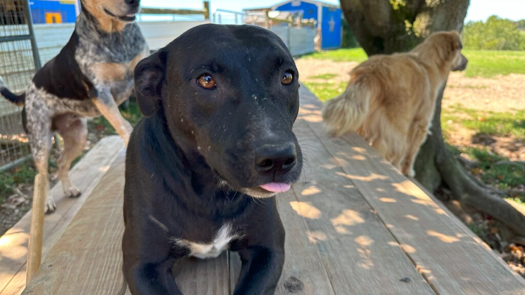Pet Of The Day: Mary