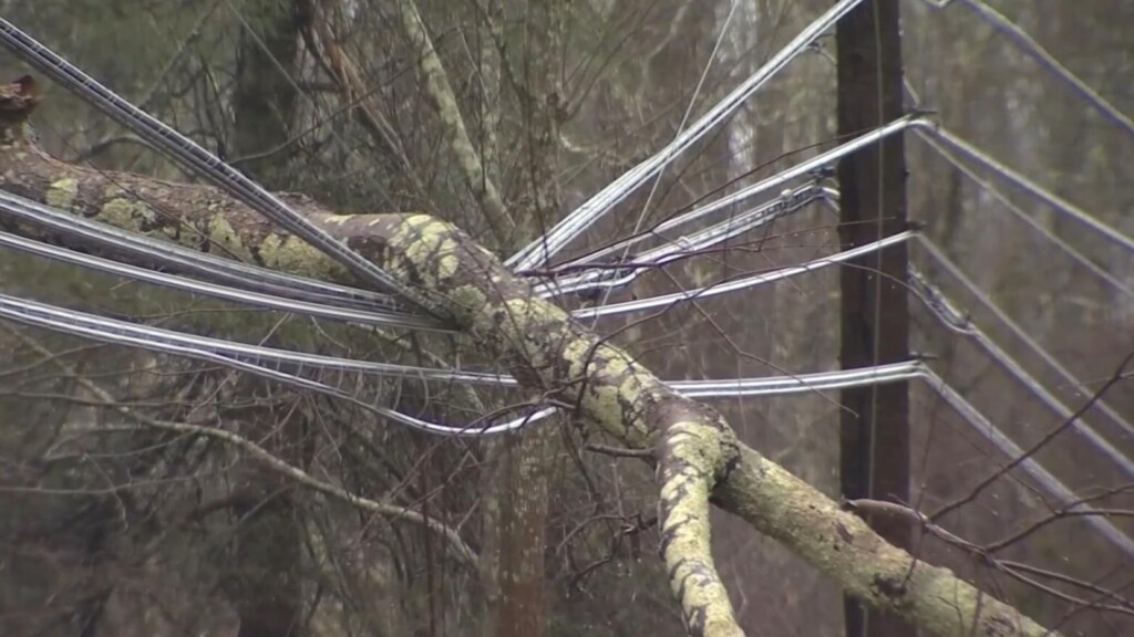 Photo Resize 2024 09 20t170913673