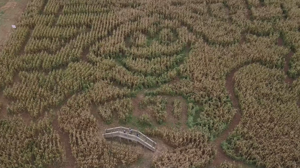 Chaneys Corn Maze Vo 2400 00 16 08still001